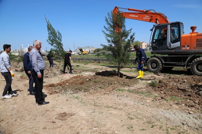 Mesire Alanı Projesi 